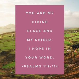 Meet your Posher, Haylee